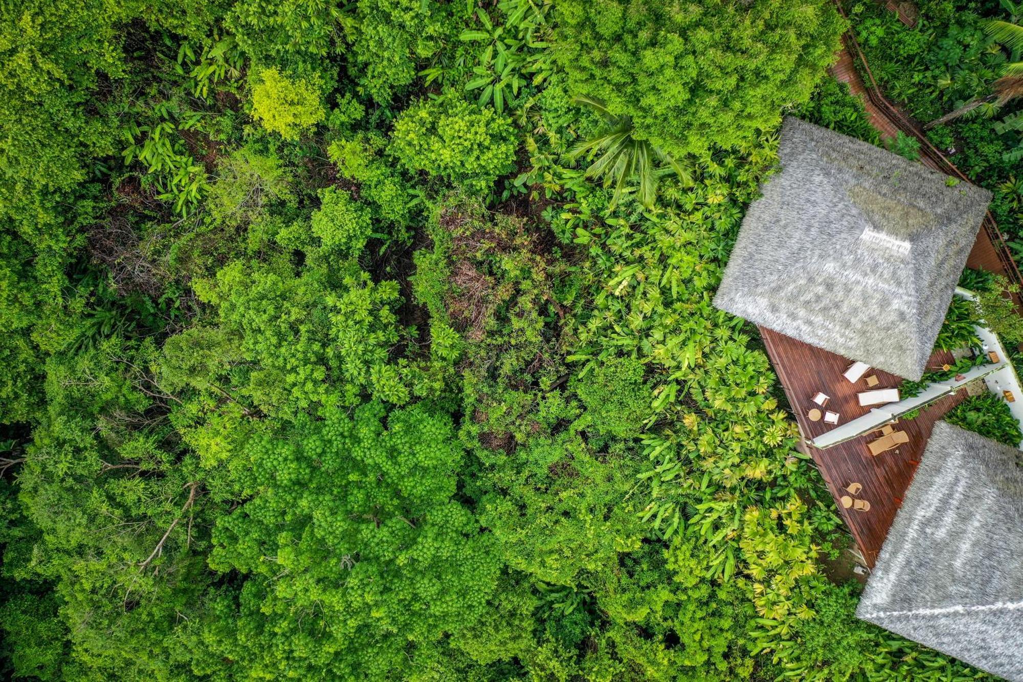 Lapa Rios Lodge By Boeena Пуерот-Хіменес Екстер'єр фото