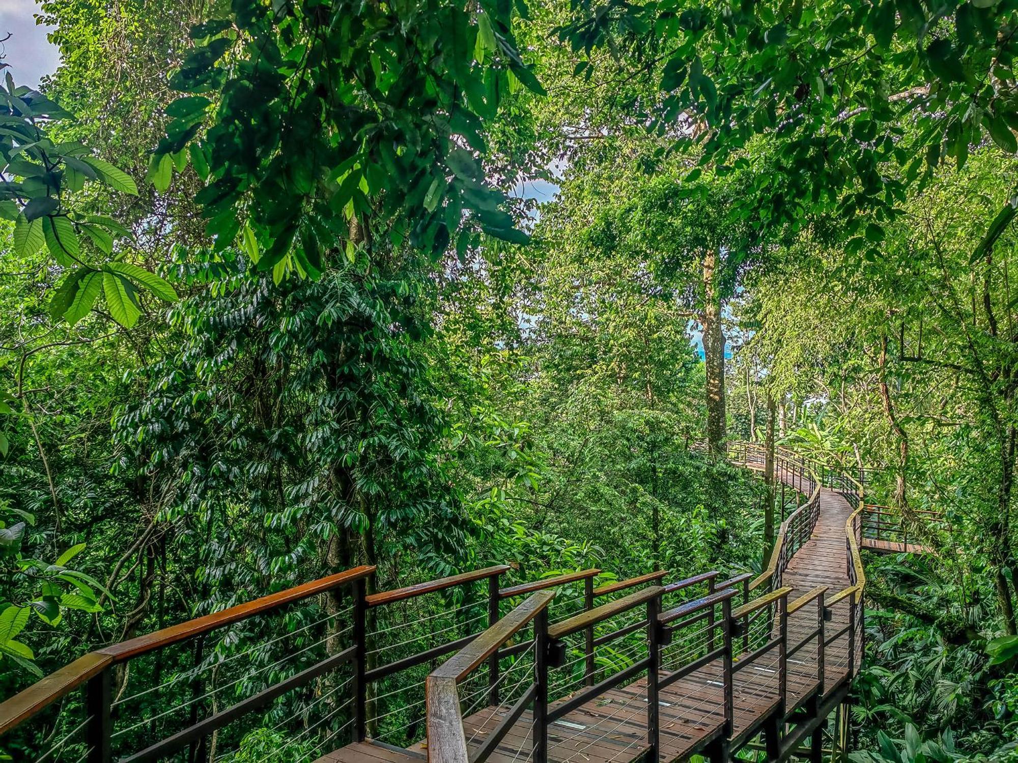 Lapa Rios Lodge By Boeena Пуерот-Хіменес Екстер'єр фото